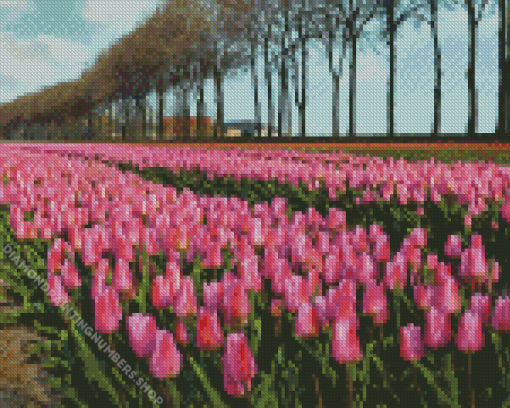 Pink Field Diamond Painting