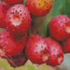 Prickly Pears Diamond Painting