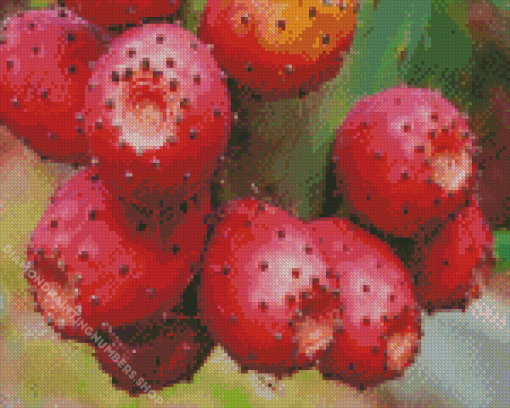 Prickly Pears Diamond Painting