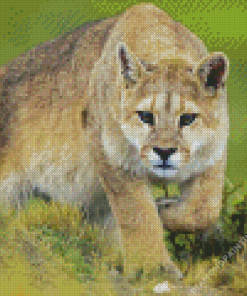 Puma Diamond Painting