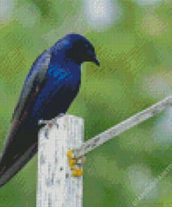 Purple Martin Diamond Painting