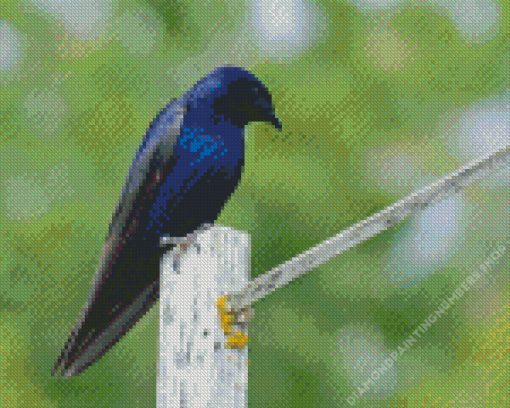 Purple Martin Diamond Painting