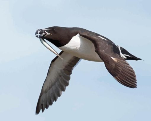 Razorbill Bird Diamond Painting