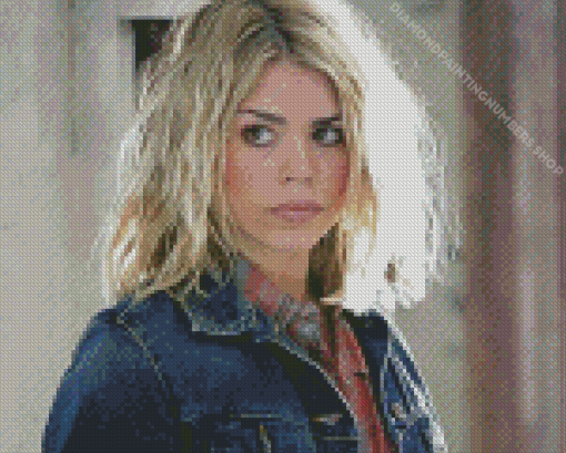 Rose Tyler Diamond Painting