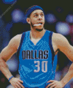 Seth Curry Diamond Painting