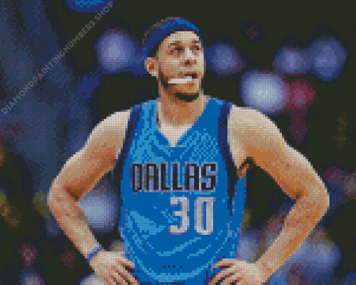 Seth Curry Diamond Painting