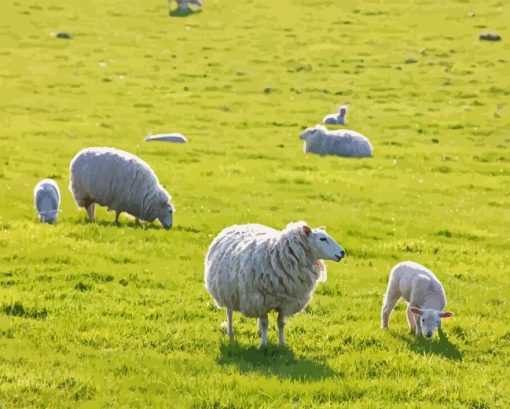 Sheep In A Field Diamond Painting