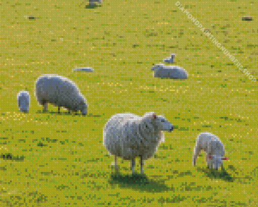 Sheep In A Field Diamond Painting