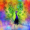 Splatter Colorful Peacock Diamond Painting