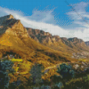 Tafelberg National Park Diamond Painting