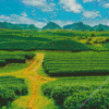 Tea Fields Diamond Painting