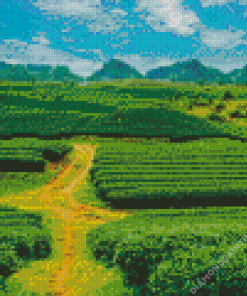 Tea Fields Diamond Painting