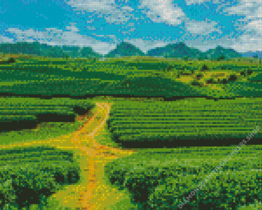 Tea Fields Diamond Painting