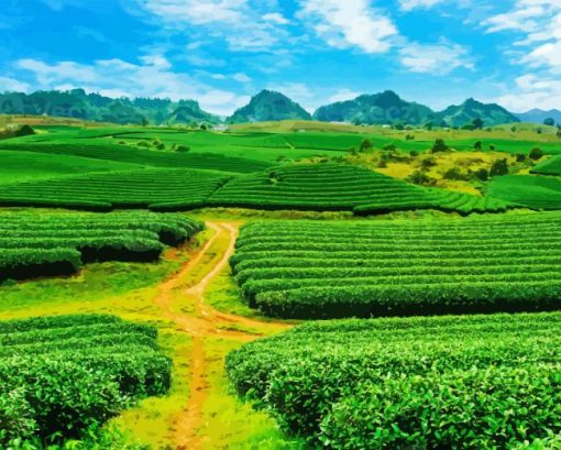 Tea Fields Diamond Painting