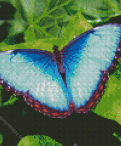 Teal Butterfly Diamond Painting