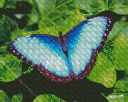 Teal Butterfly Diamond Painting