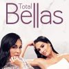 The Bella Twins Diamond Painting