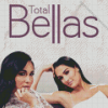 The Bella Twins Diamond Painting