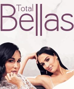 The Bella Twins Diamond Painting