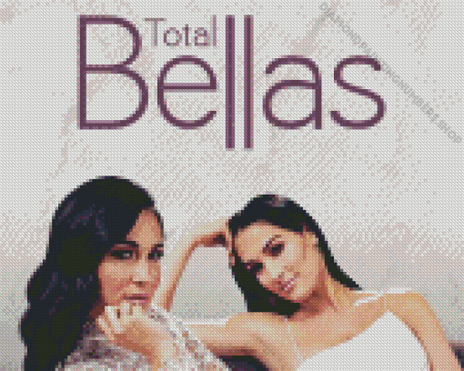 The Bella Twins Diamond Painting