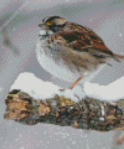 Throated Sparrow In Snow Diamond Painting