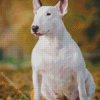 White Bull Terrier On Autumn Leaves Diamond Painting