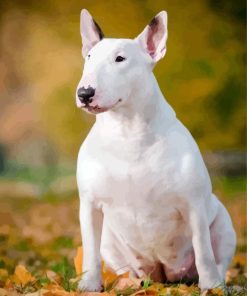 White Bull Terrier On Autumn Leaves Diamond Painting