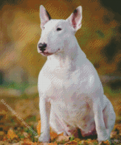 White Bull Terrier On Autumn Leaves Diamond Painting