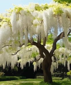 White Wisteria Tree Diamond Painting