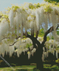 White Wisteria Tree Diamond Painting