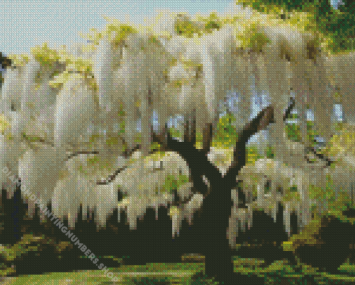 White Wisteria Tree Diamond Painting