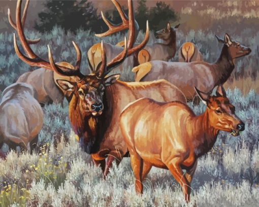 Wild Elk Herd Diamond Painting