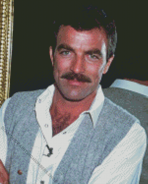 Young Actor Tom Selleck Diamond Painting