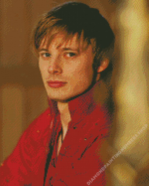 Actor Bradley James Diamond Painting