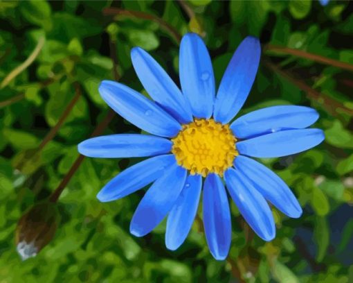 Beautiful Blue Daisy Diamond Painting