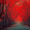 Beautiful Red Forest Diamond Painting