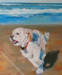 Bichon Frise Diamond Painting