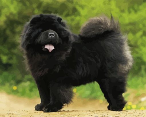 Black Chow Chow Dog Diamond Painting