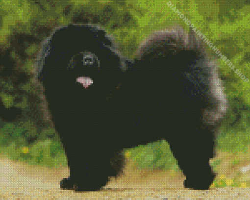 Black Chow Chow Dog Diamond Painting