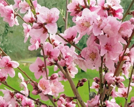 Blooming Peach Tree Diamond Painting