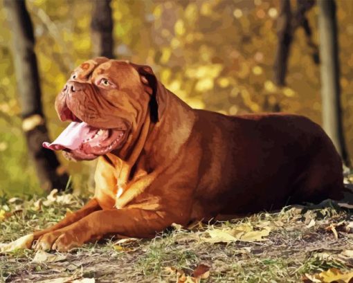 Brown Dog de Bordeaux Diamond Painting