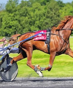 Brown Horse Harness Racing Diamond Painting