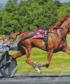 Brown Horse Harness Racing Diamond Painting