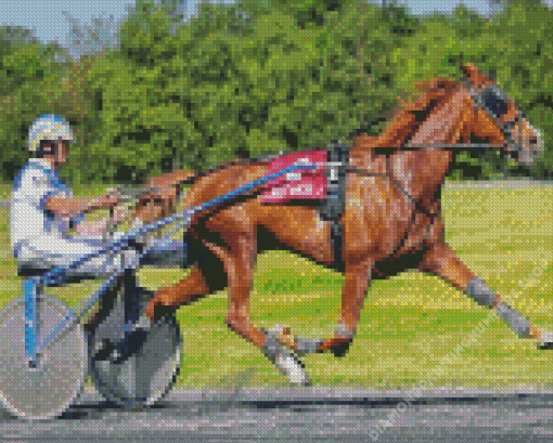 Brown Horse Harness Racing Diamond Painting