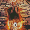 Cat Reflection Lion Diamond Painting