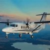 Cessna Plane Diamond Painting