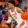 Clemson University Team Basketballer Diamond Painting