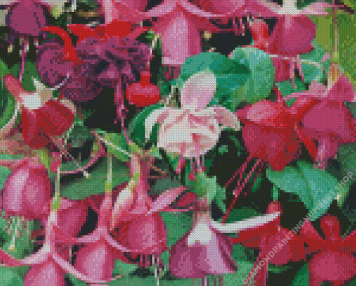 Colorful Fuchsia Flowers Diamond Painting