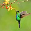 Green Hummingbird And Flowers Diamond Painting