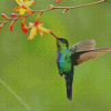 Green Hummingbird And Flowers Diamond Painting